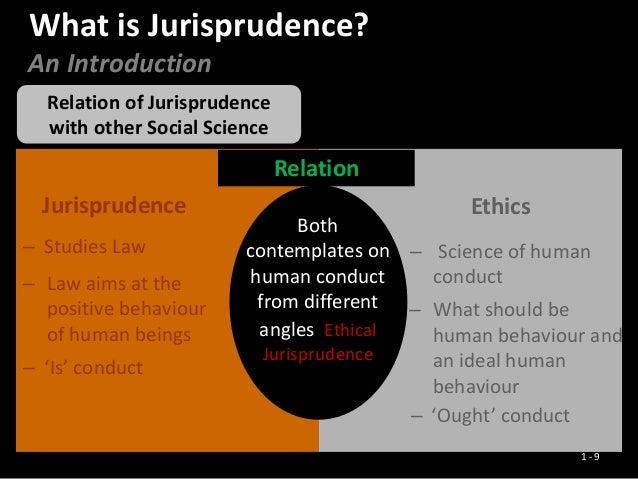 What are the different schools of jurisprudence?