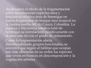 Analizamos el efecto de la fragmentación
sobre las relaciones especies-área y
frecuencia relativa-área de hormigas en
nueve fragmentos de bosque seco tropical en
la cuenca media del río Cauca, Colombia. La
riqueza y frecuencia relativa total de
hormigas se correlacionó positivamente con
el área más no con el grado de aislamiento.
Como la fragmentación afecta
diferencialmente grupos funcionales, se
encontró que según el hábitat que ocupan
son más afectadas en su orden las especies
que viven en troncos en descomposición y la
vegetación arbórea
 