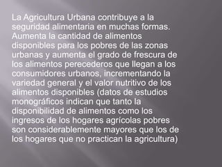 La Agricultura Urbana contribuye a la
seguridad alimentaria en muchas formas.
Aumenta la cantidad de alimentos
disponibles para los pobres de las zonas
urbanas y aumenta el grado de frescura de
los alimentos perecederos que llegan a los
consumidores urbanos, incrementando la
variedad general y el valor nutritivo de los
alimentos disponibles (datos de estudios
monográficos indican que tanto la
disponibilidad de alimentos como los
ingresos de los hogares agrícolas pobres
son considerablemente mayores que los de
los hogares que no practican la agricultura)
 
