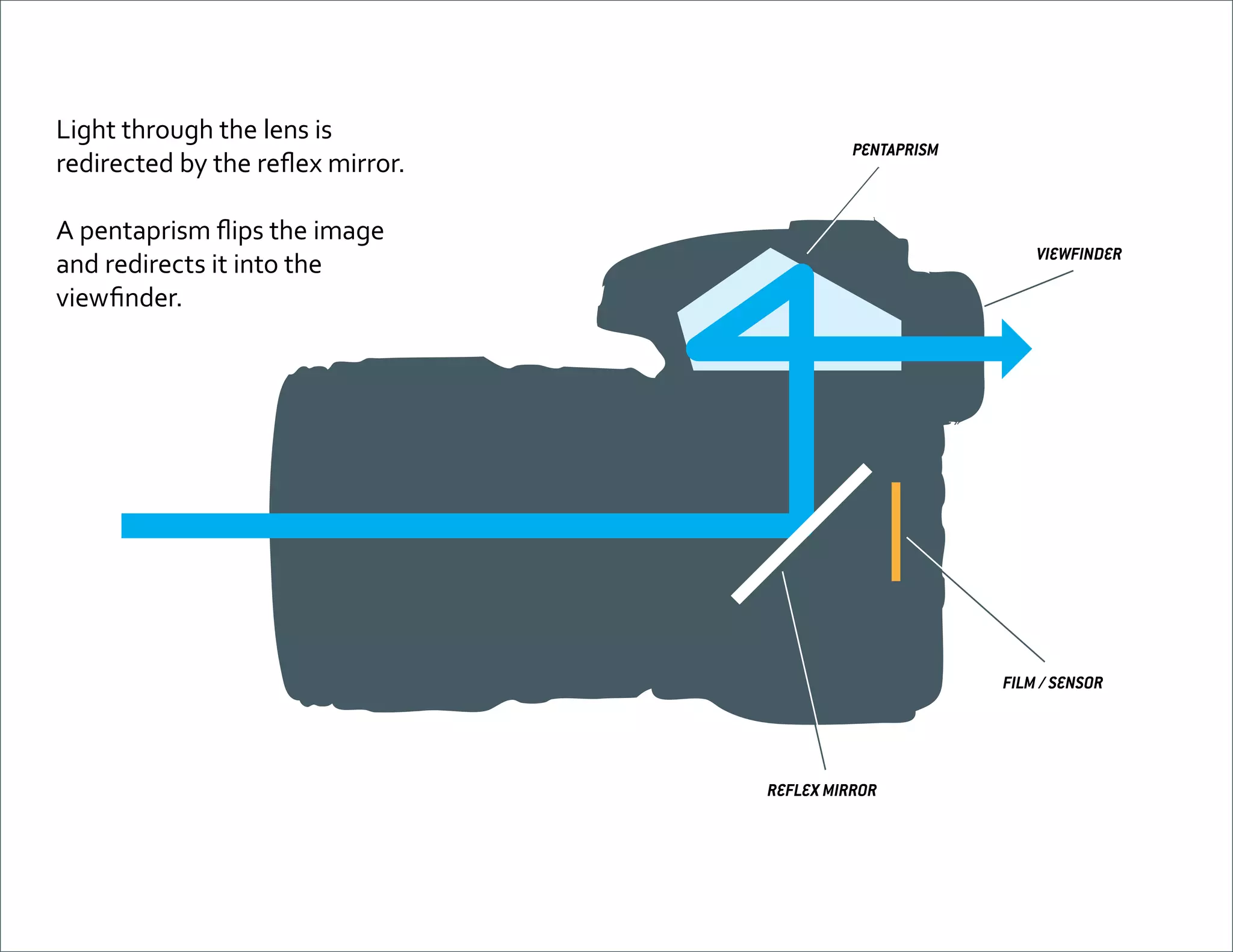 Light through the lens is
redirected by the reflex mirror.

PENTAPRISM

A pentaprism flips the image
and redirects it into the
viewfinder.

VIEWFINDER

FILM / SENSOR

REFLEX MIRROR

 