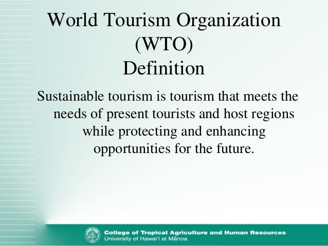 wto tourist definition