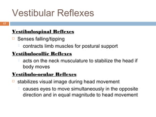 The Vestibular System | PPT