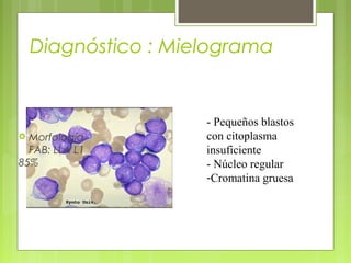 Diagnóstico : Mielograma


                     - Pequeños blastos
 Morfología         con citoplasma
  FAB: LLA L1        insuficiente
85%                  - Núcleo regular
                     -Cromatina gruesa
 