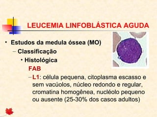 LEUCEMIA LINFOBLÁSTICA AGUDA
• Estudos da medula óssea (MO)
– Classificação
• Histológica
FAB
– L1: célula pequena, citoplasma escasso e
sem vacúolos, núcleo redondo e regular,
cromatina homogênea, nucléolo pequeno
ou ausente (25-30% dos casos adultos)

 