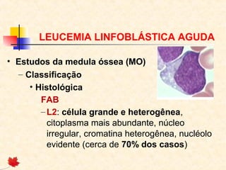 LEUCEMIA LINFOBLÁSTICA AGUDA
• Estudos da medula óssea (MO)
– Classificação
• Histológica
FAB
– L2: célula grande e heterogênea,
citoplasma mais abundante, núcleo
irregular, cromatina heterogênea, nucléolo
evidente (cerca de 70% dos casos)

 