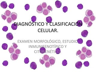 DIAGNÓSTICO Y CLASIFICACIÓN
CELULAR.
EXAMEN MORFOLÓGICO, ESTUDIO
INMUNIFENOTÍPICO Y
CITOGENÉTICO.
 