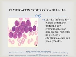 
 LLA L1 (Infancia 85%),
blastos de tamaño
uniforme, con
cromatina nuclear
homogénea, nucléolos
no precisos y
citoplasma escaso con
poco gránulos.
Elaboró: López Luis Daniel; Nava Sánchez Raúl.
Referencias: Goldmann & Bennett: Cecil Tratado de Medicina Interna, 21 ED. VOL 1; LEUCEMIAS AGUDAS;pag.
1054-1057.
Beutler E., Williams Hematología, Leucemia linfoblástica aguda, Diagnostico y clasificación celular: pág. 1146-1147.
CLASIFICACION MORFOLOGICA DE LA LLA.
 