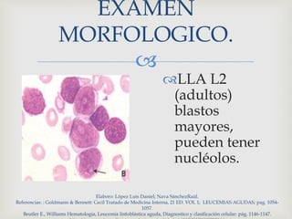 
EXAMEN
MORFOLOGICO.
LLA L2
(adultos)
blastos
mayores,
pueden tener
nucléolos.
Elaboro: López Luis Daniel; Nava SánchezRaúl.
Referencias: : Goldmann & Bennett: Cecil Tratado de Medicina Interna, 21 ED. VOL 1; LEUCEMIAS AGUDAS; pag. 1054-
1057.
Beutler E., Williams Hematología, Leucemia linfoblástica aguda, Diagnostico y clasificación celular: pág. 1146-1147.
 