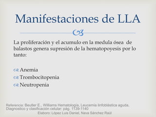 
La proliferación y el acumulo en la medula ósea de
balastos genera supresión de la hematopoyesis por lo
tanto:
 Anemia
 Trombocitopenia
 Neutropenia
Manifestaciones de LLA
Referencia: Beutler E., Williams Hematología, Leucemia linfoblástica aguda,
Diagnostico y clasificación celular: pág. 1139-1140
Elaboro: López Luis Daniel, Nava Sánchez Raúl
 