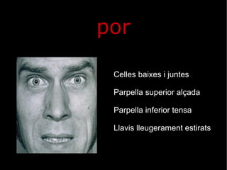 por Celles baixes i juntes Parpella superior alçada Parpella inferior tensa Llavis lleugerament estirats 