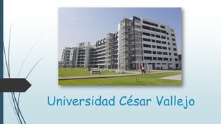Universidad César Vallejo
 