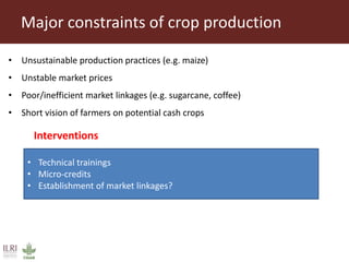 Key findings from initial assessment of Livestock Livelihoods and Agri-food Systems Flagship