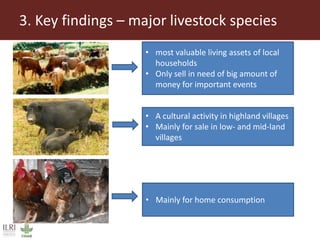 Key findings from initial assessment of Livestock Livelihoods and Agri-food Systems Flagship