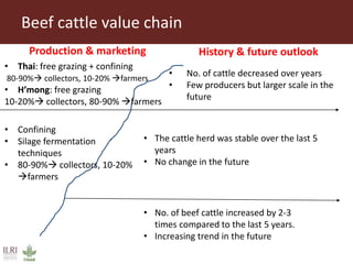 Key findings from initial assessment of Livestock Livelihoods and Agri-food Systems Flagship