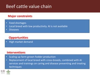 Key findings from initial assessment of Livestock Livelihoods and Agri-food Systems Flagship
