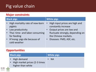 Key findings from initial assessment of Livestock Livelihoods and Agri-food Systems Flagship