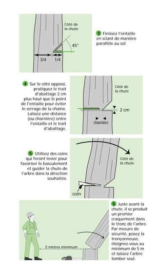 45°
1/43/4
2 cm
charnière
coin
Finissez l'entaille
en sciant de manière
parallèle au sol.
Sur le côté opposé,
pratiquez le trait
d'abattage 2 cm
plus haut que le point
de l'entaille pour éviter
le serrage de la chaîne.
Laissez une distance
(ou charnière) entre
l'entaille et le trait
d'abattage.
Utilisez des coins
qui feront levier pour
favoriser le basculement
et guider la chute de
l'arbre dans la direction
souhaitée.
Juste avant la
chute, il se produit
un premier
craquement dans
le tronc de l'arbre.
Par mesure de
sécurité, posez la
tronçonneuse,
éloignez-vous au
minimum de 5 m
et laissez l'arbre
tomber seul.
3
4
5
5
Côté de
la chute
Côté de
la chute
Côté de
la chute
5 mètres minimum
 