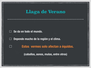 Llaga de Verano
Se da en todo el mundo.
Depende mucho de la región y el clima.
Estos vermes solo afectan a équidos.
(caballos, asnos, mulas, entre otros)
 