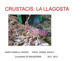 CRUSTACIS: LA LLAGOSTA




MARIA GIANELLA MARTIN   RAFEL GOMEZ AGUILO

        3r primària CP SALBUFERA    2011 2012
 