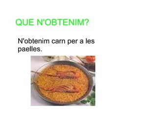 QUE N'OBTENIM?

N'obtenim carn per a les
paelles.
 
