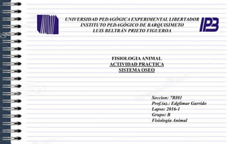 UNIVERSIDAD PEDAGÓGICA EXPERIMENTAL LIBERTADOR
INSTITUTO PEDAGÓGICO DE BARQUISIMETO
LUIS BELTRÁN PRIETO FIGUEROA
Seccion: 7BI01
Prof.(a).: Edglimar Garrido
Lapso: 2016-1
Grupo: B
Fisiología Animal
FISIOLOGIAANIMAL
ACTIVIDAD PRACTICA
SISTEMA OSEO
 