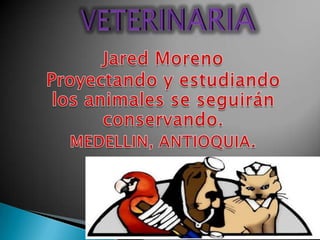 VETERINARIA Jared Moreno  Proyectando y estudiando los animales se seguirán conservando. MEDELLIN, ANTIOQUIA.  