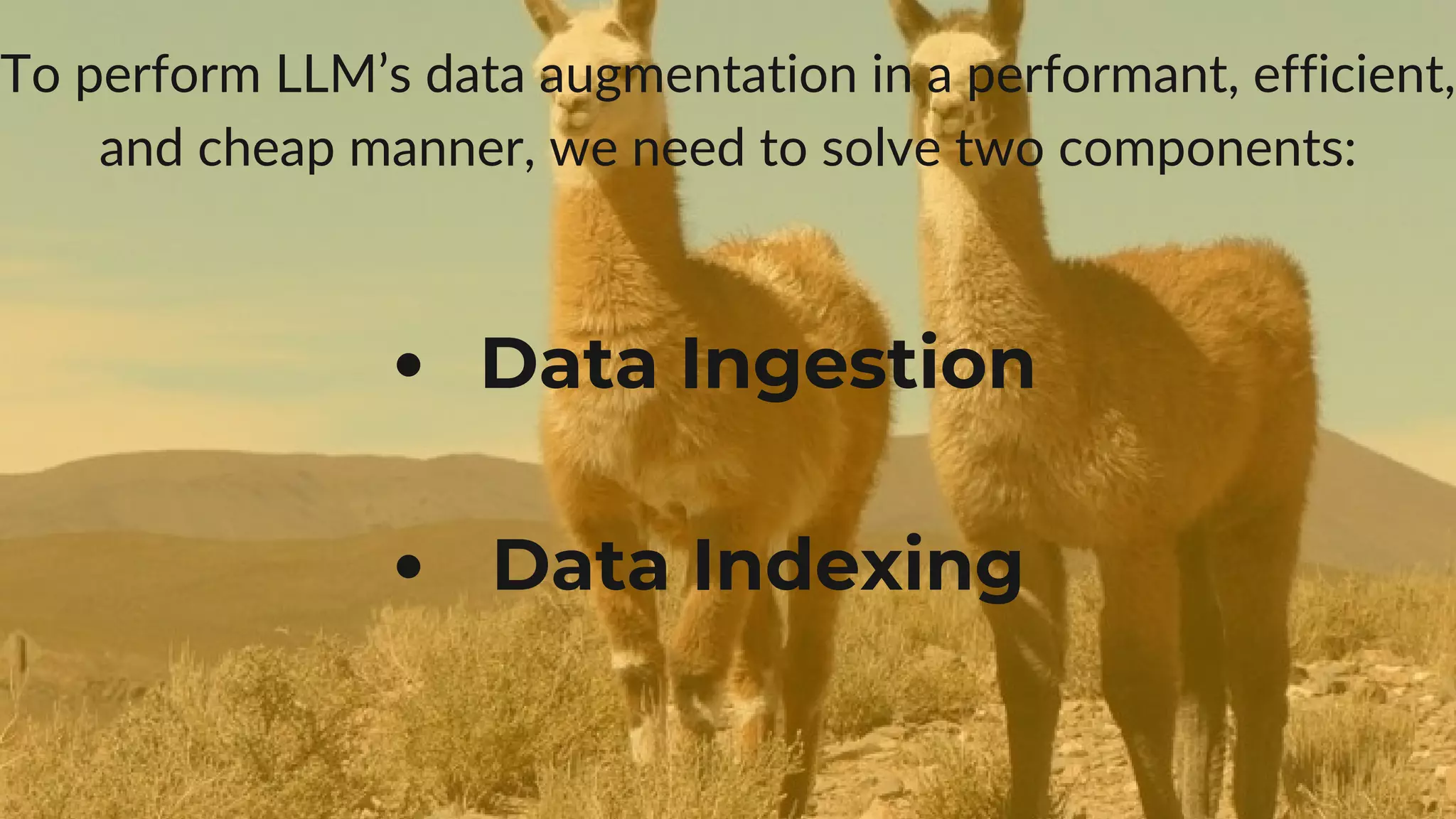 To perform LLM’s data augmentation in a performant, efficient,
and cheap manner, we need to solve two components:
Data Ingestion
Data Indexing
 