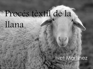 Procés tèxtil de la
llana
Ivet Martínez
 