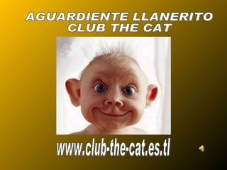 www.club-the-cat.es.tl AGUARDIENTE LLANERITO CLUB THE CAT 