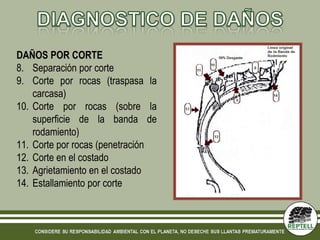 DAÑOS POR CORTE
8. Separación por corte
9. Corte por rocas (traspasa la
    carcasa)
10. Corte por rocas (sobre la
    superficie de la banda de
    rodamiento)
11. Corte por rocas (penetración
12. Corte en el costado
13. Agrietamiento en el costado
14. Estallamiento por corte
 
