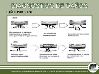 DAÑOS POR CORTE
 