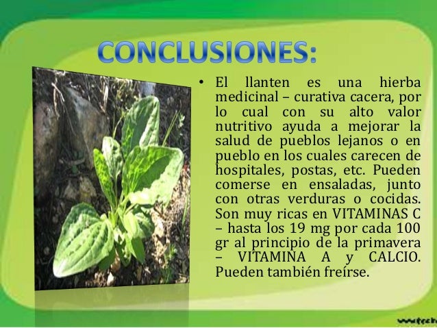 Propiedades llanten para adelgazar