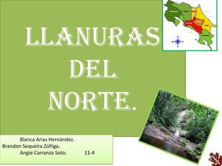 Llanuras
            del
           norte.
       Blanca Arias Hernández.
Brandon Sequeira Zúñiga.
       Angie Carranza Soto.      11-4
 