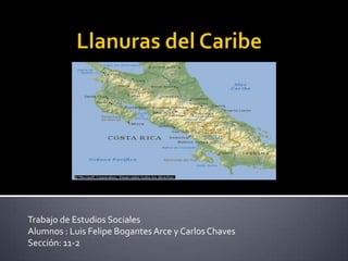 Trabajo de Estudios Sociales
Alumnos : Luis Felipe Bogantes Arce y Carlos Chaves
Sección: 11-2
 