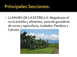 Llanuras del caribe PPTX South America Travel Travel Locations