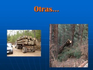Otras…
 