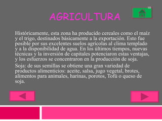 AGRICULTURA Históricamente, esta zona ha producido cereales como el maíz y el trigo, destinados básicamente a la exportación. Esto fue posible por sus excelentes suelos agrícolas al clima templado y a la disponibilidad de agua. En los últimos tiempos, nuevas técnicas y la inversión de capitales potenciaron estas ventajas, y los esfuerzos se concentraron en la producción de soja. Soja: de sus semillas se obtiene una gran variedad de productos alimenticios: aceite, salsa, jugo vegetal, brotes, alimentos para animales, harinas, porotos, Tofú o queso de soja. 