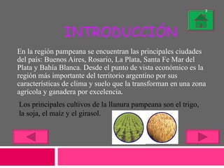 INTRODUCCIÓN En la región pampeana se encuentran las principales ciudades del país: Buenos Aires, Rosario, La Plata, Santa Fe Mar del Plata y Bahía Blanca. Desde el punto de vista económico es la región más importante del territorio argentino por sus características de clima y suelo que la transforman en una zona agrícola y ganadera por excelencia . Los principales cultivos de la llanura pampeana son el trigo, la soja, el maíz y el girasol. 