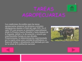 TAREAS AGROPECUARIAS Las condiciones favorables para las tareas agropecuarias atrajeron las primeras corrientes inmigratorias durante el final del siglo XIX. En el siglo XX este proceso se intensificó especialmente desde la Primera Guerra Mundial y hasta después de la Segunda, debido a la devastación y miseria que experimentaba Europa en esas décadas. Posteriormente, la industrialización experimentada por la región atrajo gran cantidad de pobladores en busca de trabajo y actualmente está habitada por más de la mitad de la población nacional. 