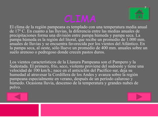 CLIMA El clima de la región pampeana es templado con una temperatura media anual de 17º C. En cuanto a las lluvias, la diferencia entre las medias anuales de precipitaciones forma una división entre pampa húmeda y pampa seca. La pampa húmeda es la región del litoral, que recibe un promedio de 1.000 mm. anuales de lluvias y se encuentra favorecida por los vientos del Atlántico. En la pampa seca, al oeste, sólo llueve un promedio de 400 mm. anuales sobre un suelo arenoso o pedregoso donde crecen pastos duros. Los vientos característicos de la Llanura Pampeana son el Pampero y la Sudestada. El primero, frío, seco, violento proviene del sudoeste y tiene una velocidad de 100 km/h.; nace en el anticiclón del Pacífico sur, deja su humedad al atravesar la Cordillera de los Andes y avanza sobre la región pampeana especialmente en verano, después de un período caluroso y húmedo. Ocasiona lluvia, descenso de la temperatura y grandes nubes de polvo. 