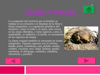 FLORA Y FAUNA La ocupación del territorio por el hombre se tradujo en la extinción o el desalojo de la flora y fauna originarias. La vegetación primitiva del territorio, como el ceibo y el sauce, sólo crecen en las zonas ribereñas, y otras especies, como el quebradillo, el calderón y la jarilla, se encuentran en las regiones de estepa. La fauna original también se encuentra en zonas marginales. Algunas especies son el zorrino, ñandú, puma, comadreja, cuis, peludo, mulita, culebra, vizcacha, tero, chajá, lechuza, perdiz, martineta, el chimango, carancho, calandria, churrinche y picaflor. 