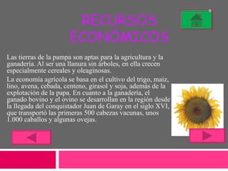 RECURSOS ECONÓMICOS Las tierras de la pampa son aptas para la agricultura y la ganadería. Al ser una llanura sin árboles, en ella crecen especialmente cereales y oleaginosas.  La economía agrícola se basa en el cultivo del trigo, maíz, lino, avena, cebada, centeno, girasol y soja, además de la explotación de la papa. En cuanto a la ganadería, el ganado bovino y el ovino se desarrollan en la región desde la llegada del conquistador Juan de Garay en el siglo XVI, que transportó las primeras 500 cabezas vacunas, unos 1.000 caballos y algunas ovejas. 