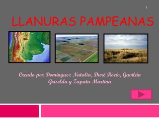 LLANURAS PAMPEANAS Creado por Domínguez Natalia, Duré Rocío, Gavilán Griselda y Zapata Martina 