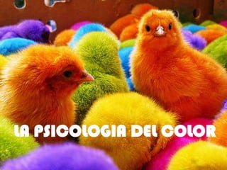 LA PSICOLOGIA DEL COLOR