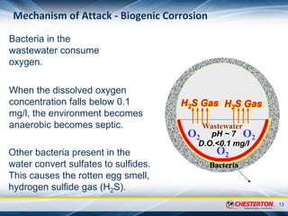 The Challenges of Wastewater Structural Degradation and Mitigation ...