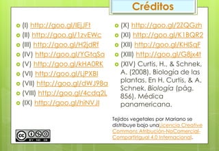 Créditos
 (X) http://goo.gl/2ZQGzh
 (XI) http://goo.gl/K1BQR2
 (XII) http://goo.gl/KHlSqF
 (XIII) http://goo.gl/G8jx4t
 (XIV) Curtis, H., & Schnek,
A. (2008). Biología de las
plantas. En H. Curtis, & A.
Schnek, Biología (pág.
856). Médica
panamericana.
 (I) http://goo.gl/IEjJFt
 (II) http://goo.gl/1zvEWc
 (III) http://goo.gl/H2jdRf
 (IV) http://goo.gl/YGtqSa
 (V) http://goo.gl/kHA0RK
 (VI) http://goo.gl/LjPXBI
 (VII) http://goo.gl/dWJ98a
 (VIII) http://goo.gl/4cdq2L
 (IX) http://goo.gl/hiNVJI
Tejidos vegetales por Mariano se
distribuye bajo unaLicencia Creative
Commons Atribución-NoComercial-
CompartirIgual 4.0 Internacional.
 
