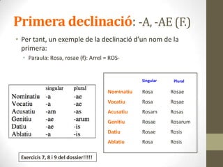 Primera declinació: -A, -AE (F.)
• Per tant, un exemple de la declinació d’un nom de la
primera:
• Paraula: Rosa, rosae (f): Arrel = ROS-
Plural
Nominatiu
Vocatiu
Acusatiu
Genitiu
Datiu
Ablatiu
Rosa
Rosa
Rosam
Rosae
Rosae
Rosa
Rosae
Rosae
Rosas
Rosarum
Rosis
Rosis
Singular
Exercicis 7, 8 i 9 del dossier!!!!!
 