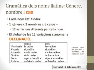 Gramàtica dels noms llatins: Gènere,
nombre i cas
• Cada nom llatí tindrà:
• 1 gènere x 2 nombres x 6 casos =
• 12 variacions diferents per cada nom.
• El global de les 12 variacions s’anomena
DECLINACIÓ.
Exemple fictici
del que seria la
declinació del
mot català cadira
Exercicis 5 i 6 del dossier!!!!!
 
