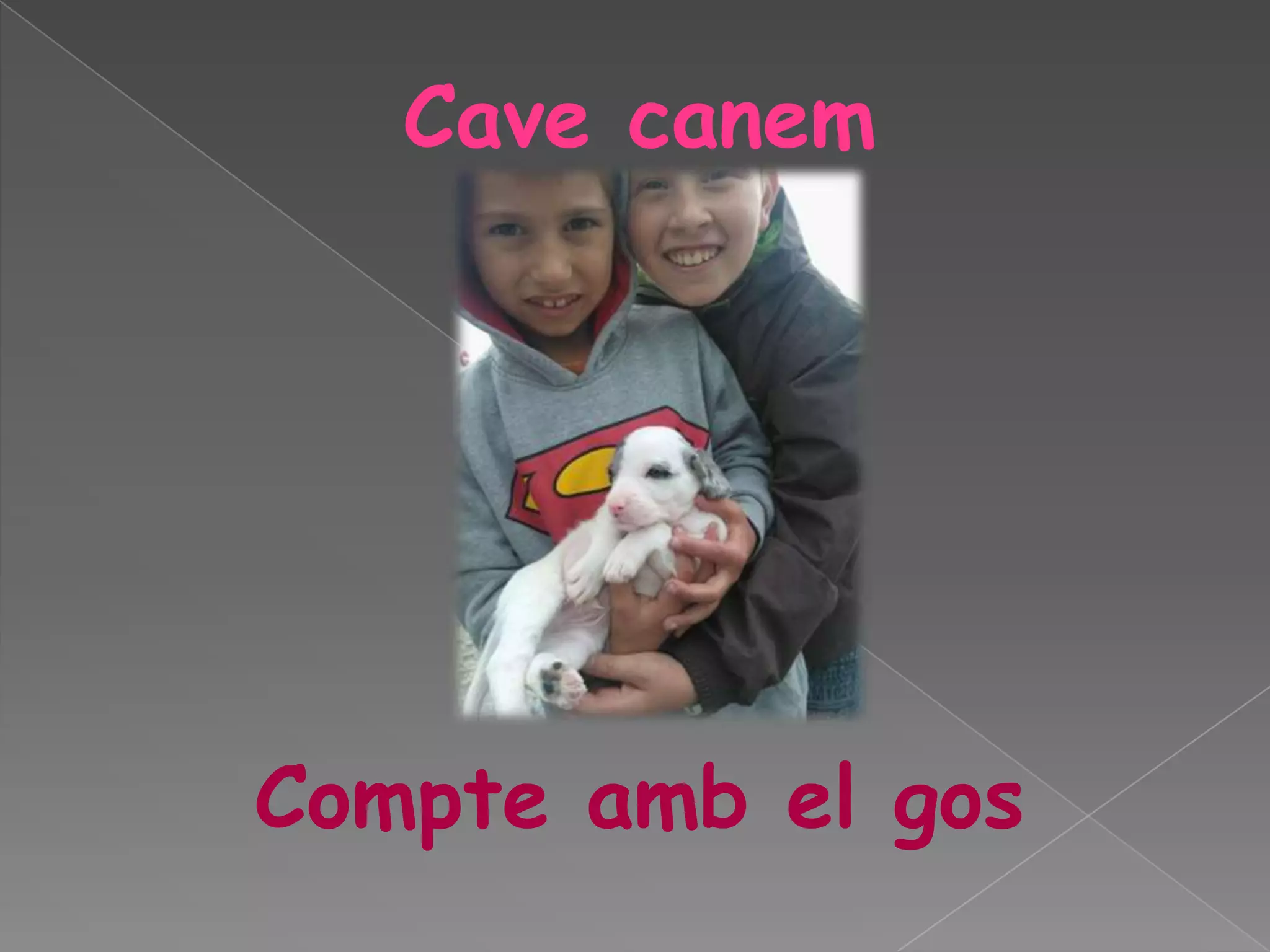 Cave canem

Compte amb el gos

 