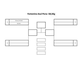 Femenino Azul Pena -58,5Kg
Vanessa Andrade
Bushido
2 4
1 3